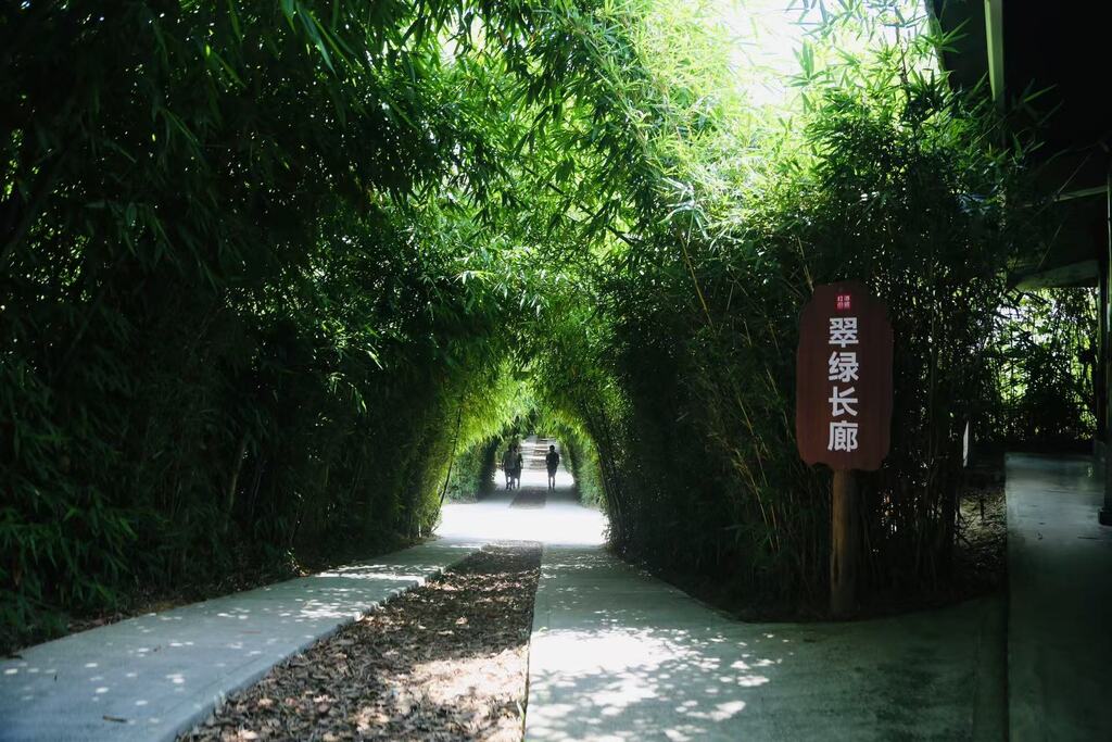暑期將至，不少游客紛紛前往美心紅酒小鎮打卡。受訪者供圖