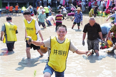A villager participating in the rice field fish-catching competition proudly displaying his “bountiful catches” at the site