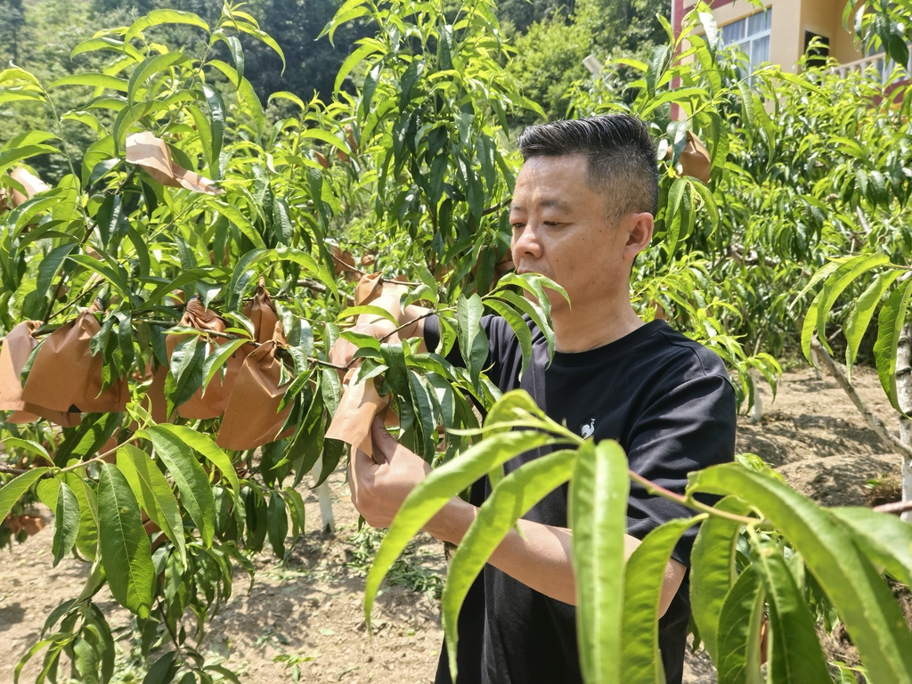 微信圖片_20250619220016