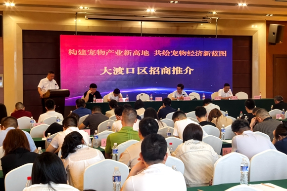 大渡口著力推動寵物行業的深度合作。 重慶寵物產業聯盟供圖