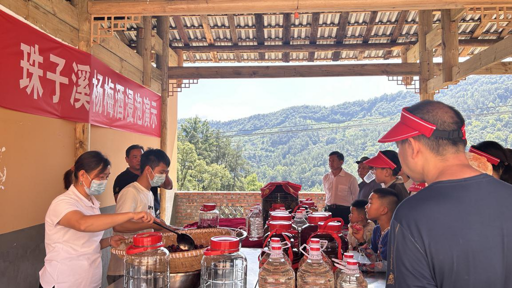 游客觀摩楊梅酒制作過程。武隆浩口鄉政府供圖