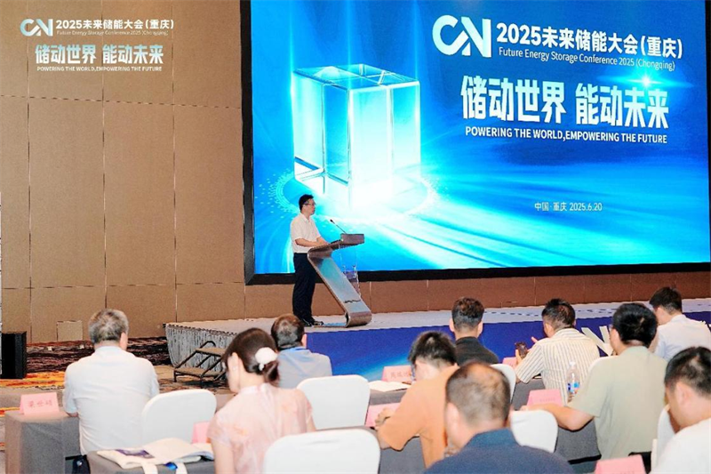 2025未來儲能大會現場。主辦方供圖
