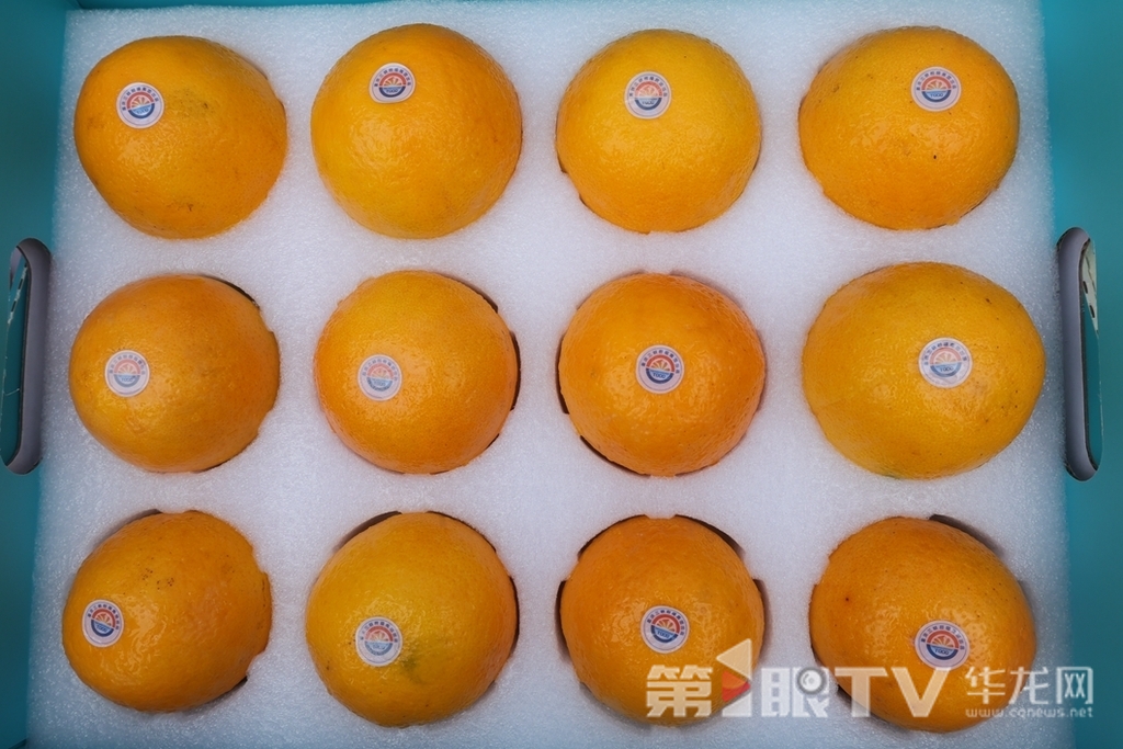 2 新鮮飽滿的柑橘。第1眼TV-華龍網 董靜 攝