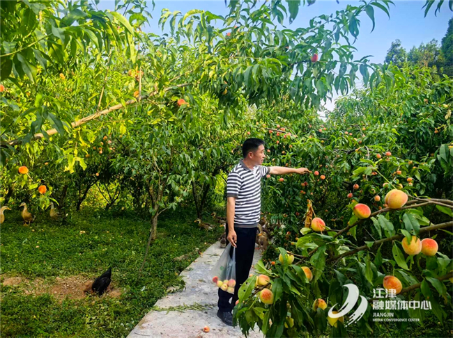 江津