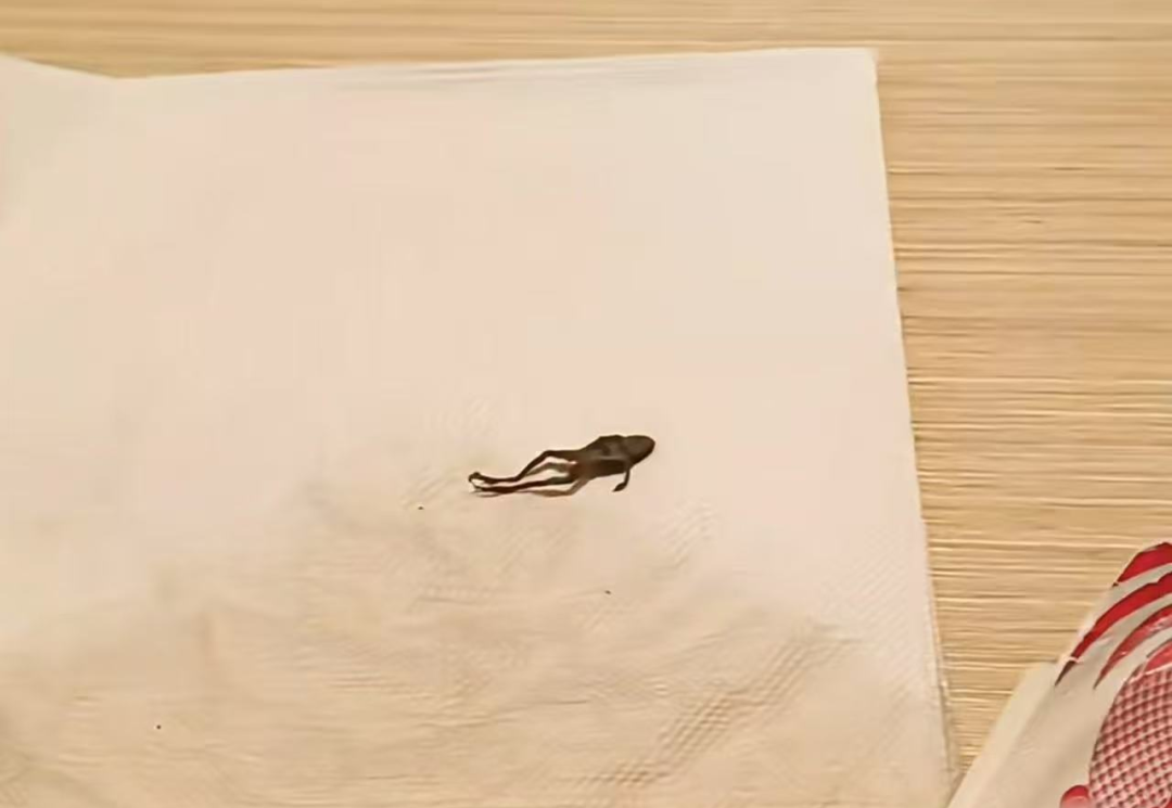 未命名图片