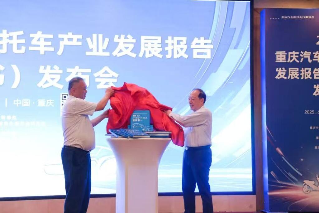 蓝皮书发布。受访者供图
