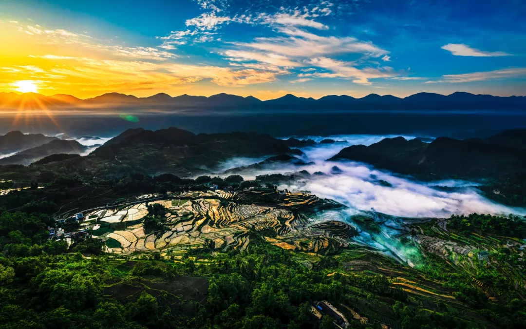 未命名圖片