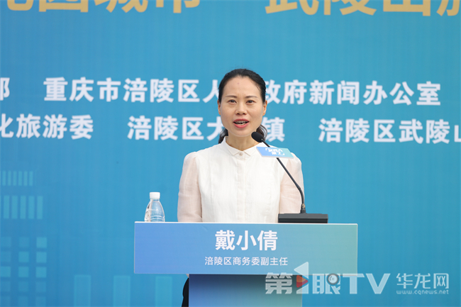 涪陵区商务委副主任戴小倩。第1眼TV-华龙网记者 李黎 摄