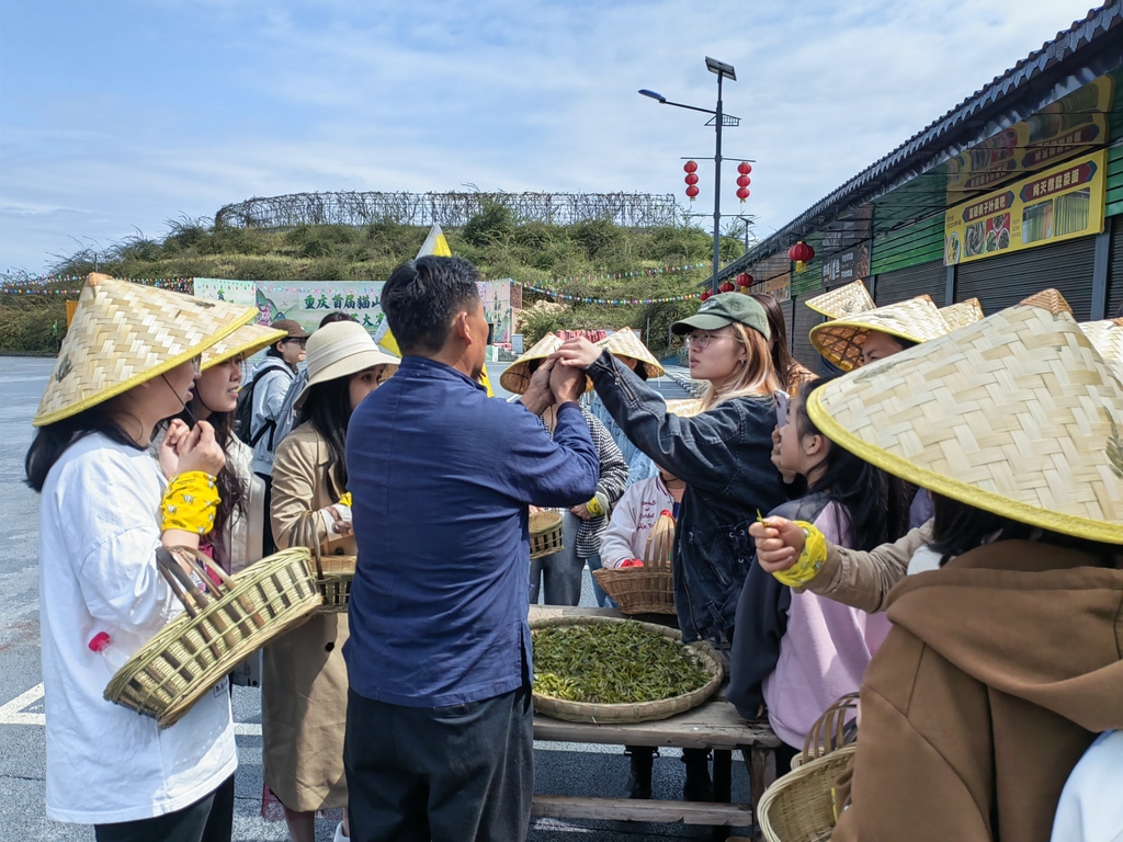 江津区猫山林茶基地探索“林+旅”“农+旅”融合发展。重庆市林业局供图