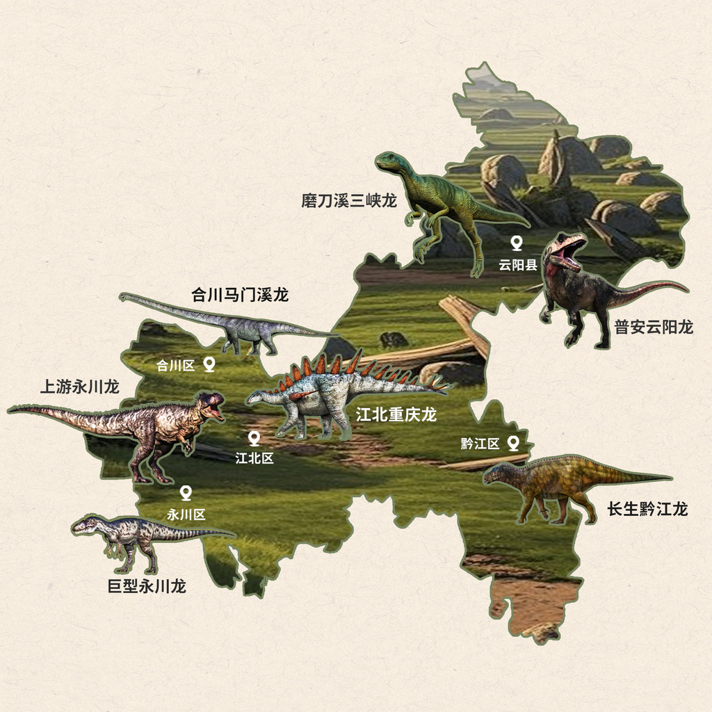 地图