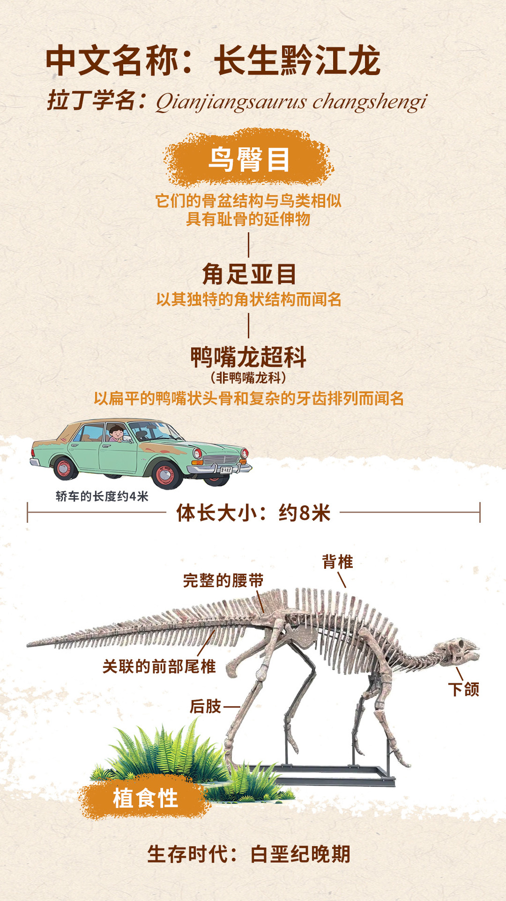 黔江龙 拷贝