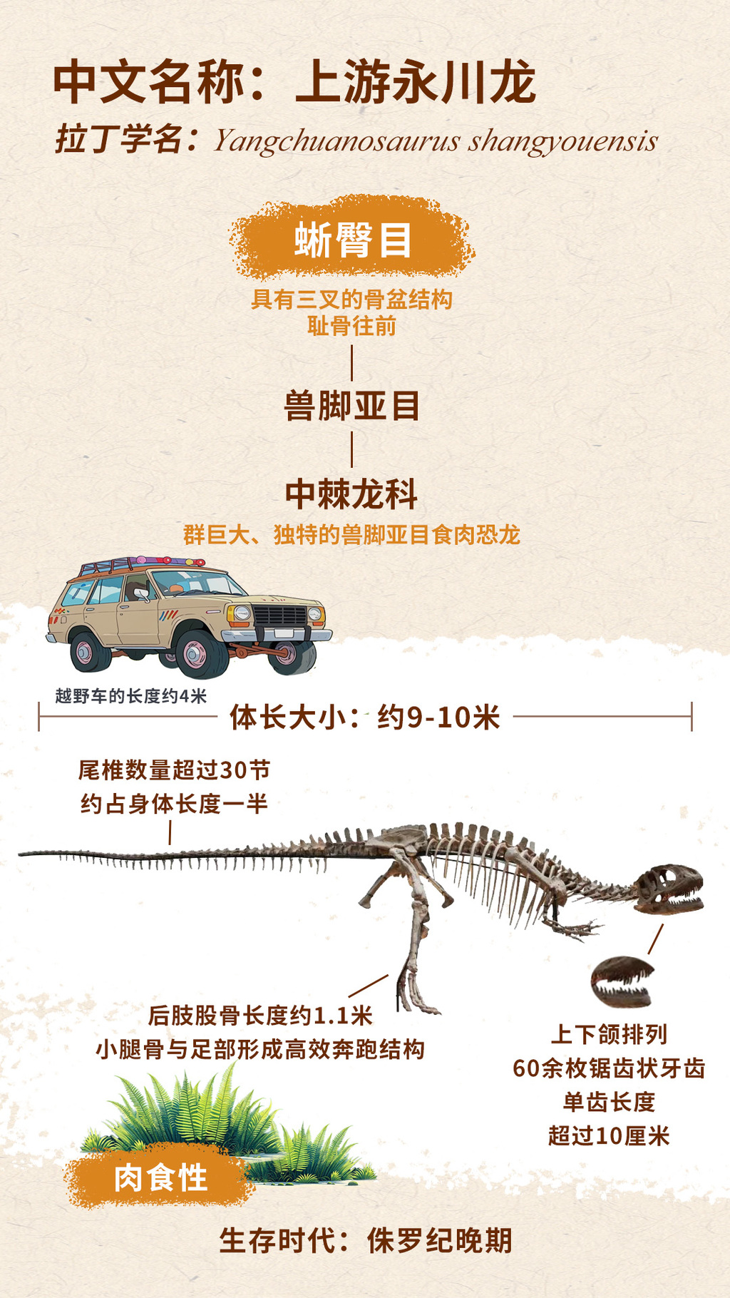 永川龙 拷贝