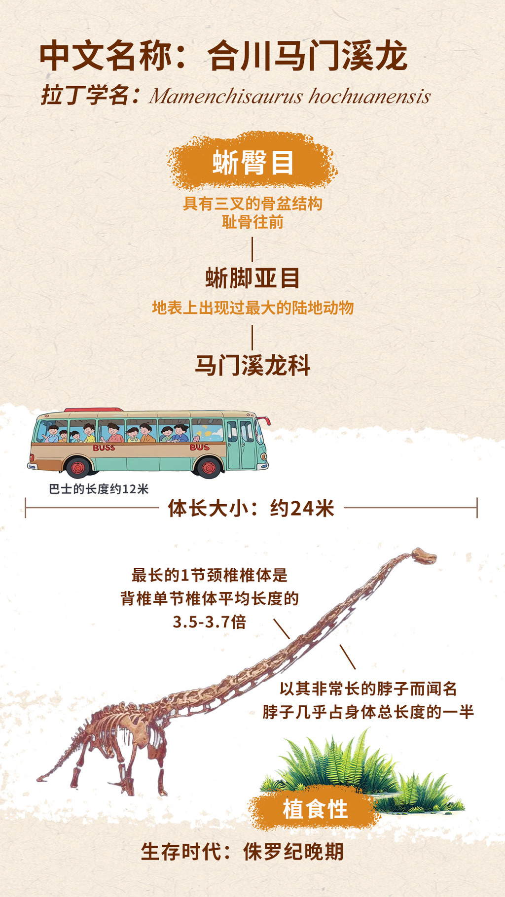 合川龙 拷贝