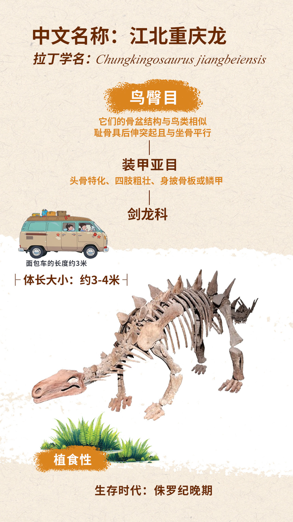 江北龙 拷贝