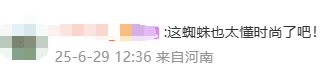 未命名图片