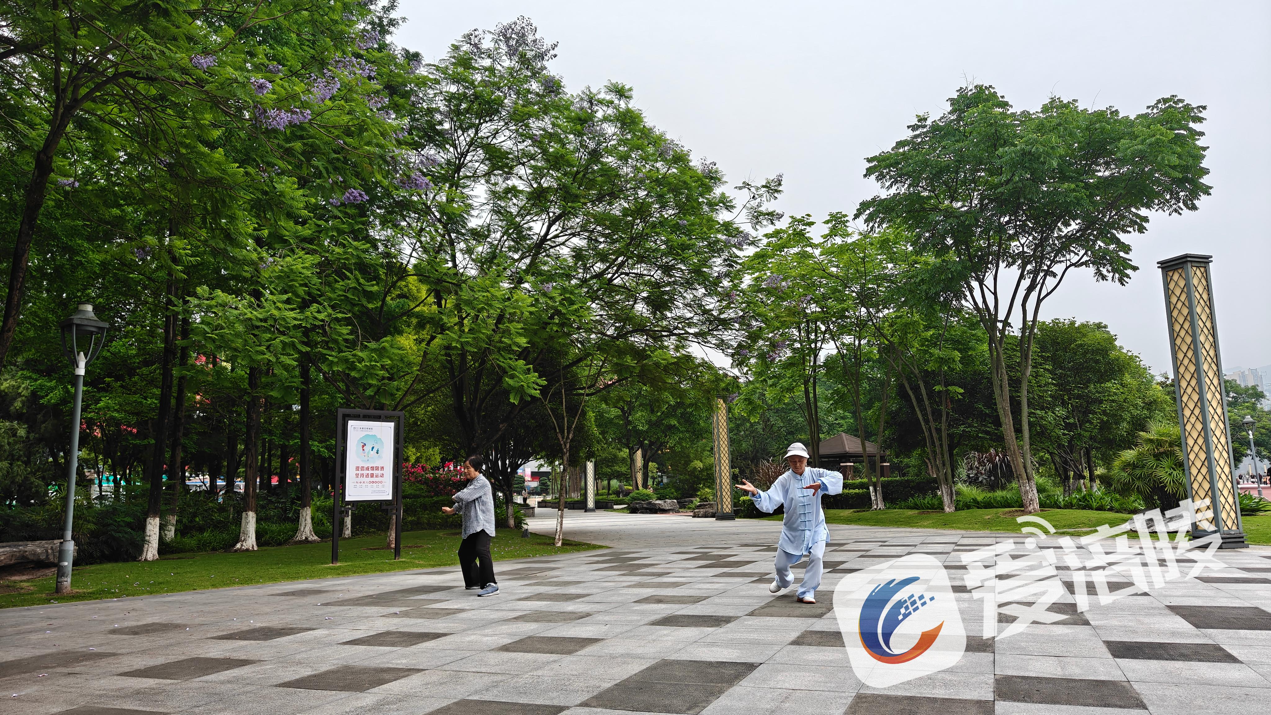 市民在江東濱江公園的藍花楹下健身。涪陵區融媒體中心供圖