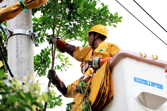 國網重慶大足供電公司員工修剪電線附近的超高樹枝。通訊員 羅永恒 攝