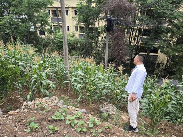 巫中后山開展滑坡巡查。巫溪縣規(guī)劃和自然資源局供圖