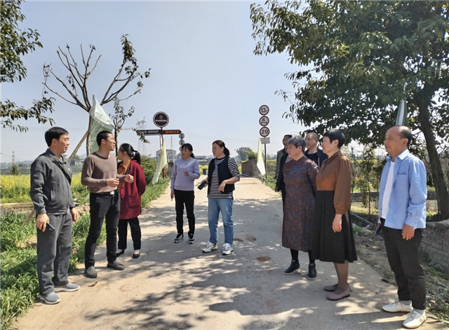 調研鄉(xiāng)村振興工作。圣泉街道供圖 第1眼TV-華龍網發(fā)