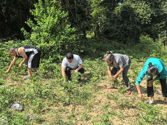 駐村工作隊與村民一起除草。通訊員 李洪衛 攝
