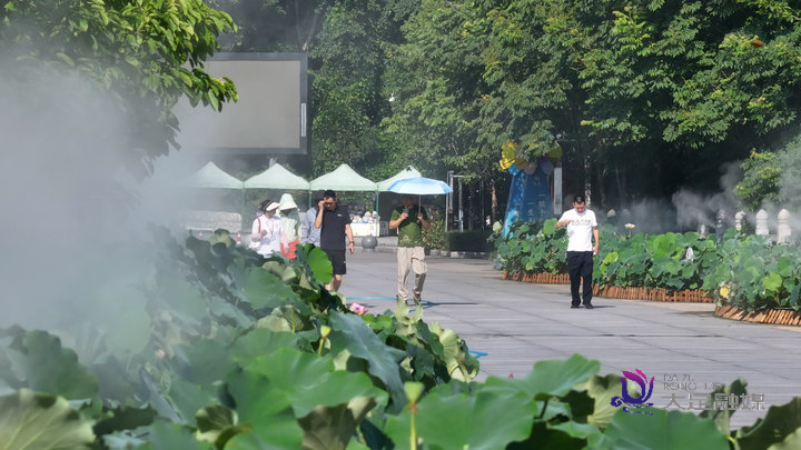 未命名图片