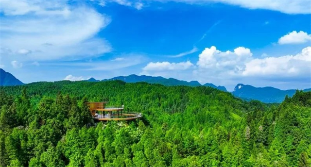 南川·山王坪.png