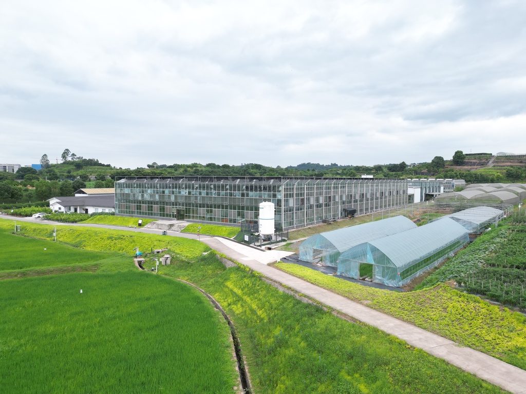 重慶高新區,重慶市農業科學院的魚菜共生智能工廠