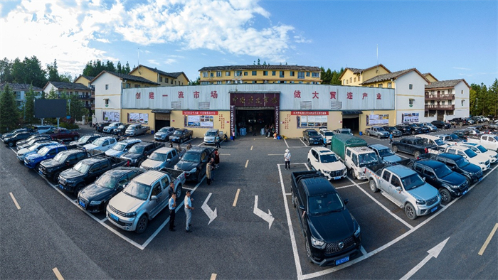中國黃連市場。石柱土家族自治縣委宣傳部供圖 第1眼TV-華龍網 發