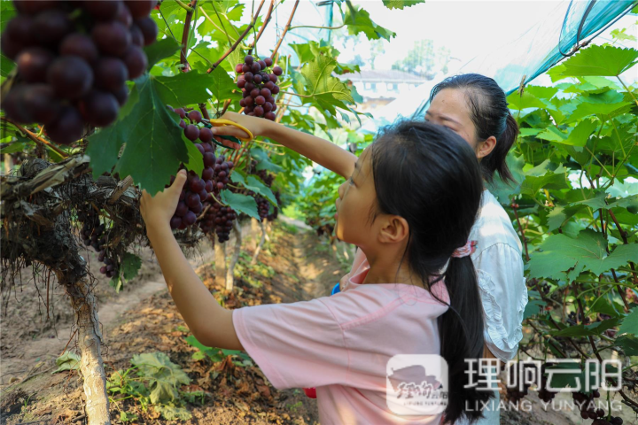 未命名图片
