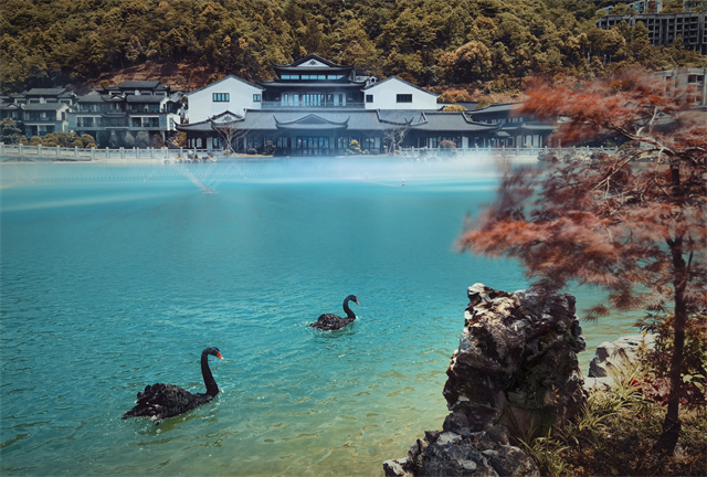 “金佛山178環線”避暑自駕游火熱.jpg