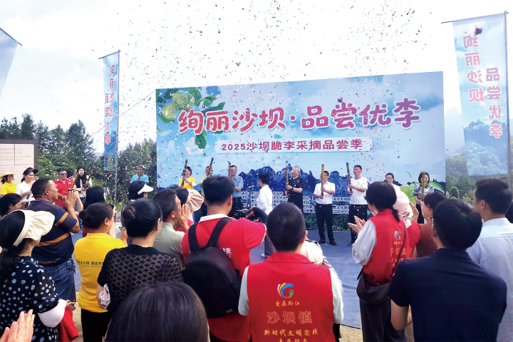 未命名图片