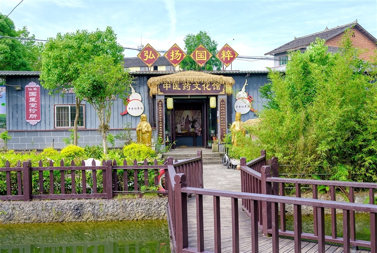 中华仙草园。记者 龚长浩 摄