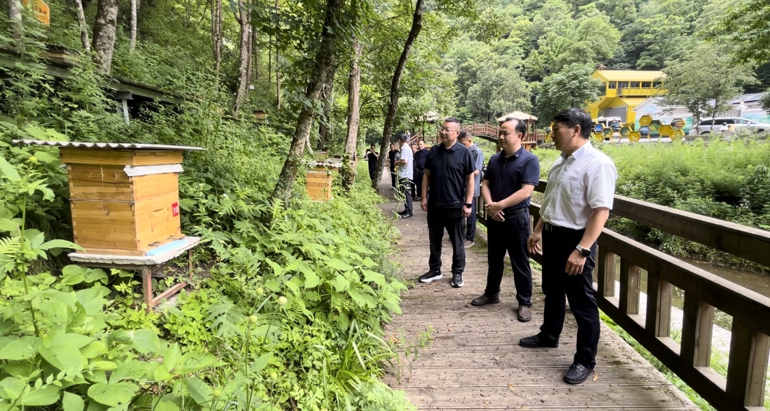 湖北省神農(nóng)架林區(qū)的養(yǎng)殖蜜蜂養(yǎng)殖基地。通訊員 楊麗加 攝