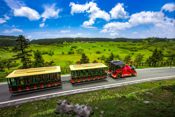 仙女山小火车。重庆武隆旅游产业(集团)有限公司供图