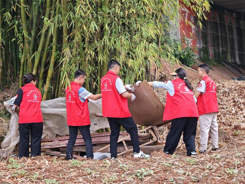 仙鵝社區(qū)巴蜀美麗庭院人居環(huán)境整治志愿服務(wù)。潼南區(qū)委宣傳部供圖  第1眼TV-華龍網(wǎng)發(fā)