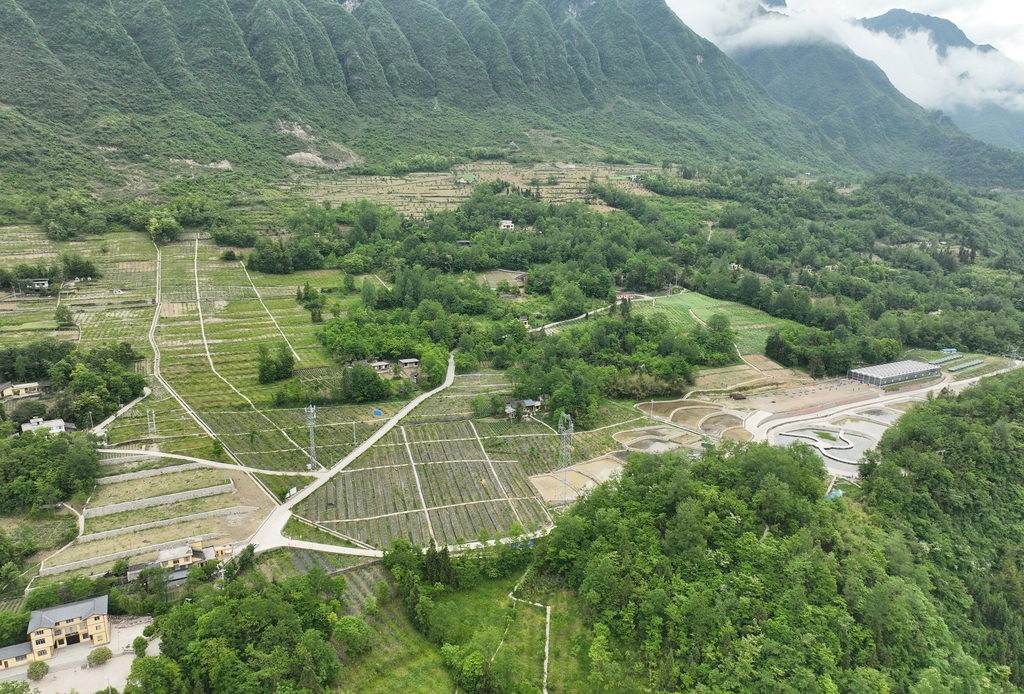 城口水土流失區實現生態蝶變。重慶市水利局供圖