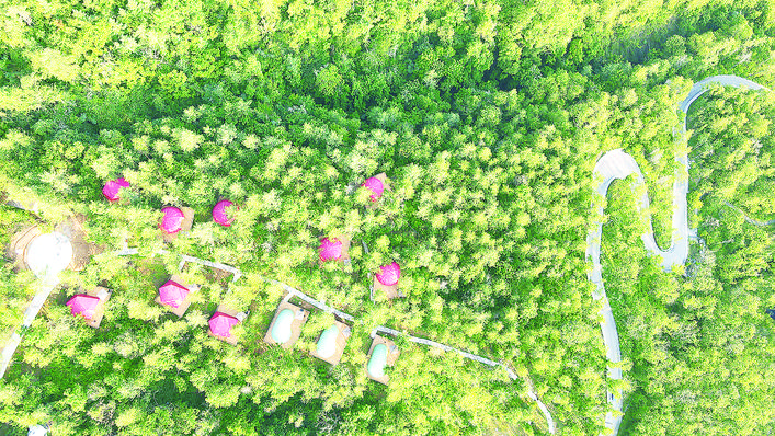 雪宝山居·音乐营吧。