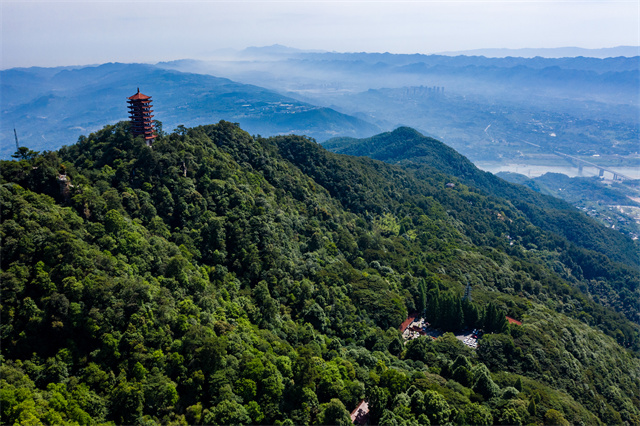 重慶縉云山國(guó)家級(jí)自然保護(hù)區(qū)。重慶市林業(yè)局 供圖 第1眼TV-華龍網(wǎng)發(fā)