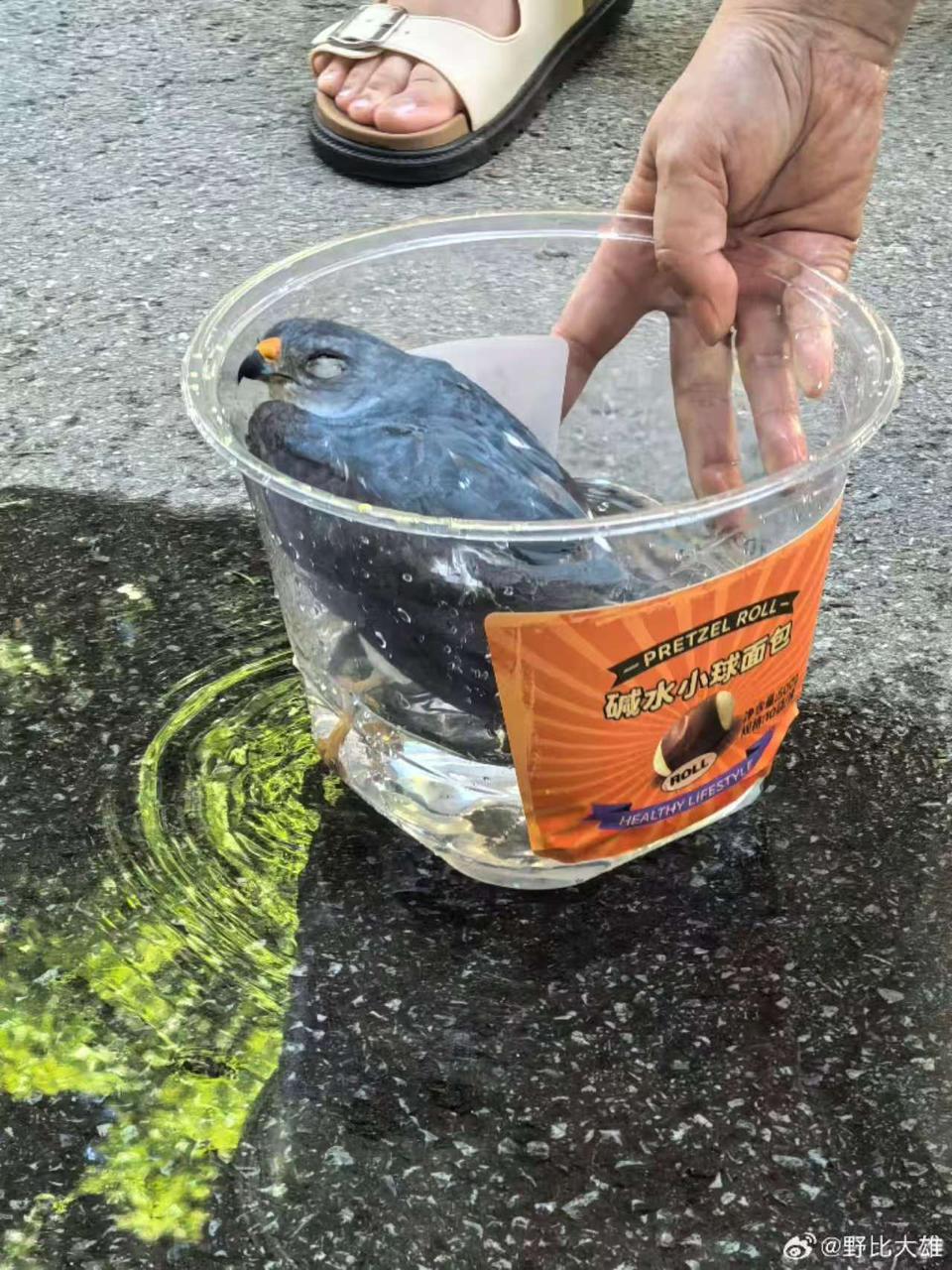 圖片