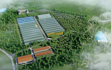 白云智能化苗圃效果圖。渝北區(qū)林業(yè)局供圖