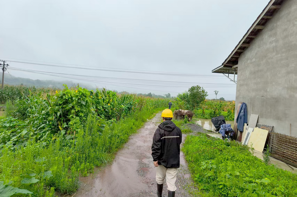 国网合川供电公司员工在暴雨后巡视10千伏古化线2号杆至45号杆。通讯员 翁航 摄