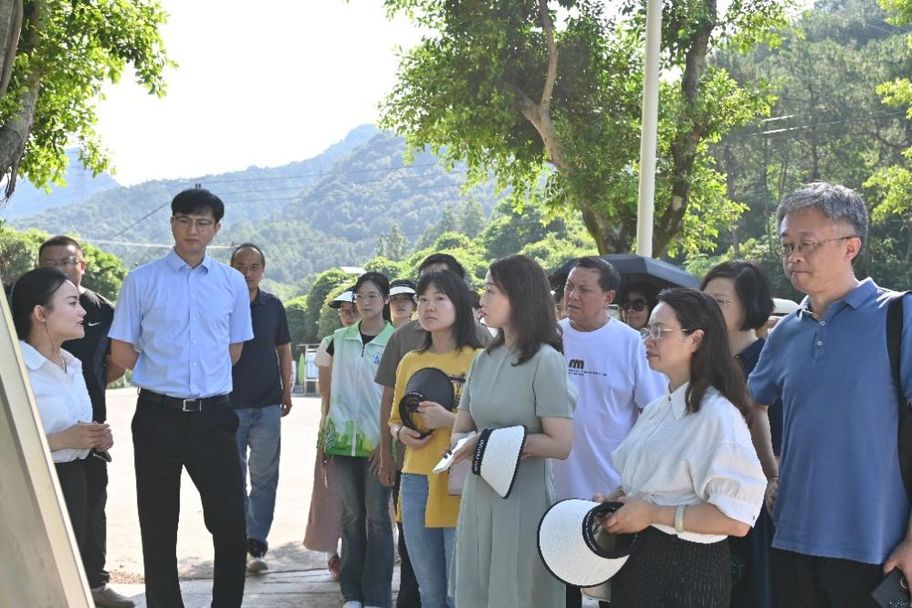 圖片1  調(diào)研組考察石廟藥嶺云谷。復(fù)盛鎮(zhèn)政府供圖 第1眼TV-華龍網(wǎng)發(fā)
