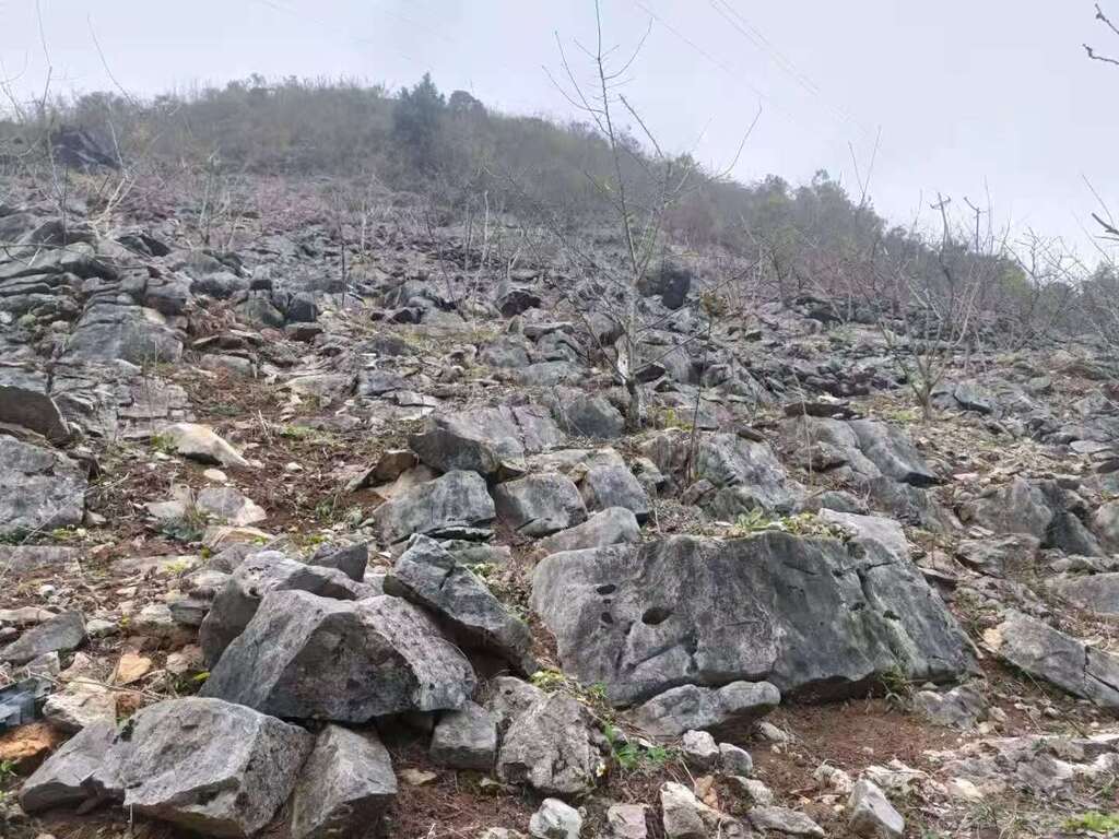 曾經(jīng)的曲尺鄉(xiāng)一隅。（資料圖 巫山縣林業(yè)局供圖）