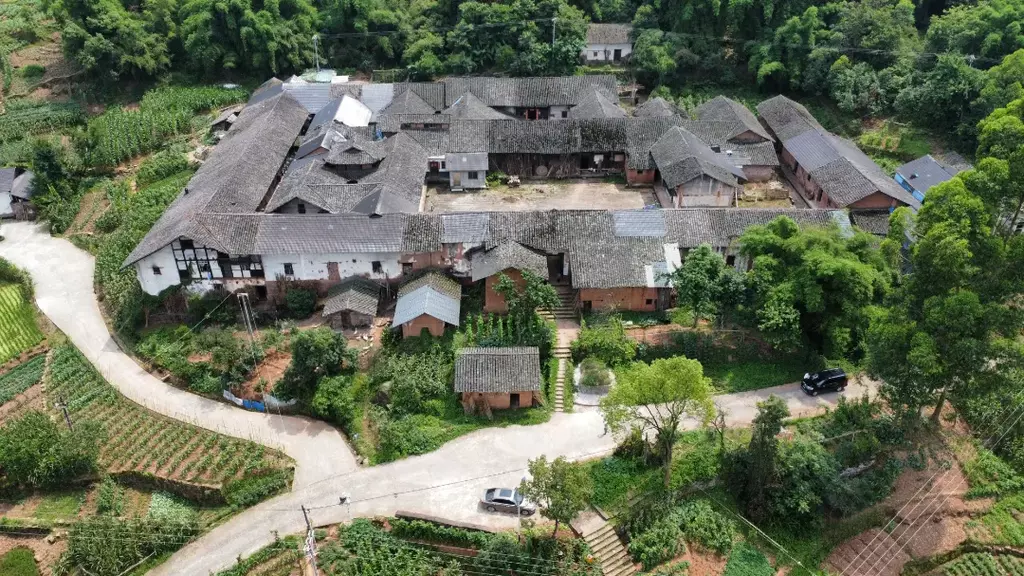 中山镇白鹤村白鹤林。受访单位供图