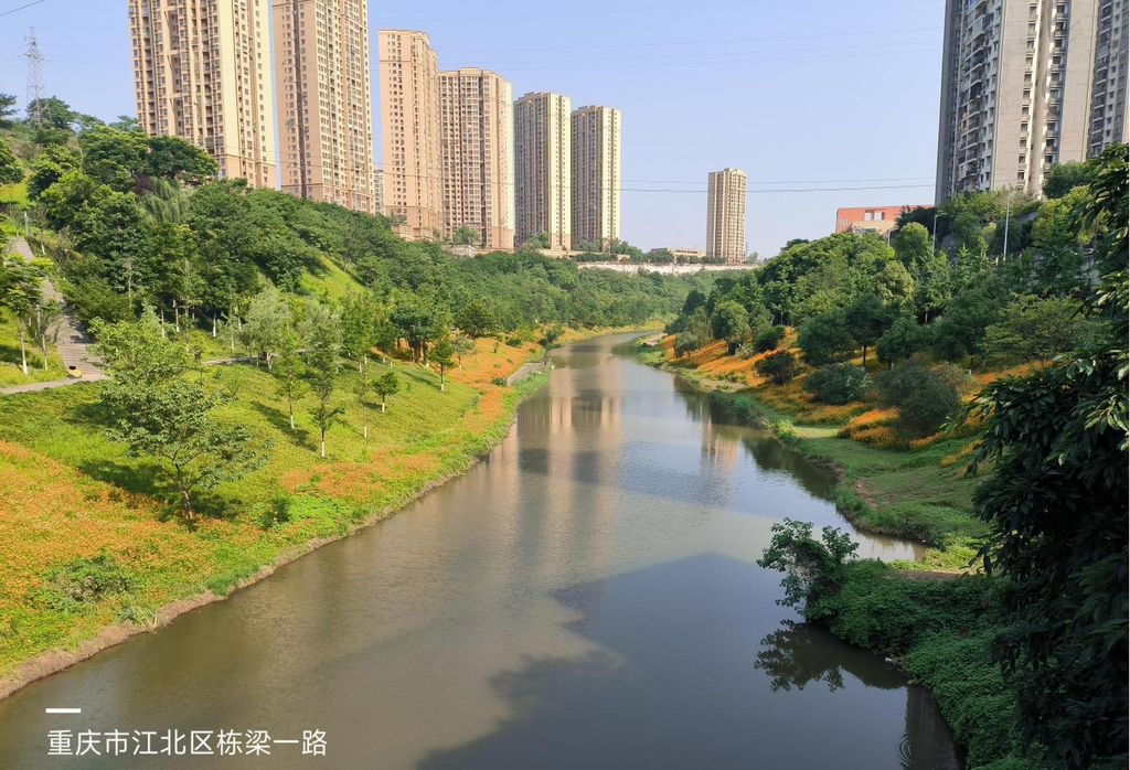 碧波蕩漾的棟梁河。鐵山坪街道供圖 第1眼TV-華龍網(wǎng)發(fā)