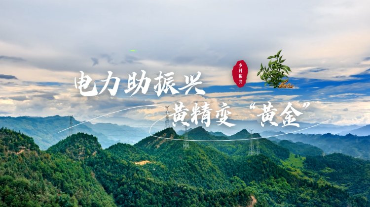 第一届“电靓和美乡村”故事大赛参赛作品。受访单位供图