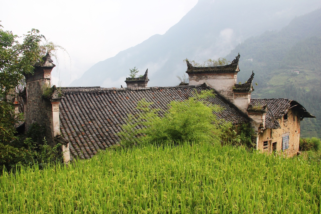 徐家大院 11。 徐高祥 摄