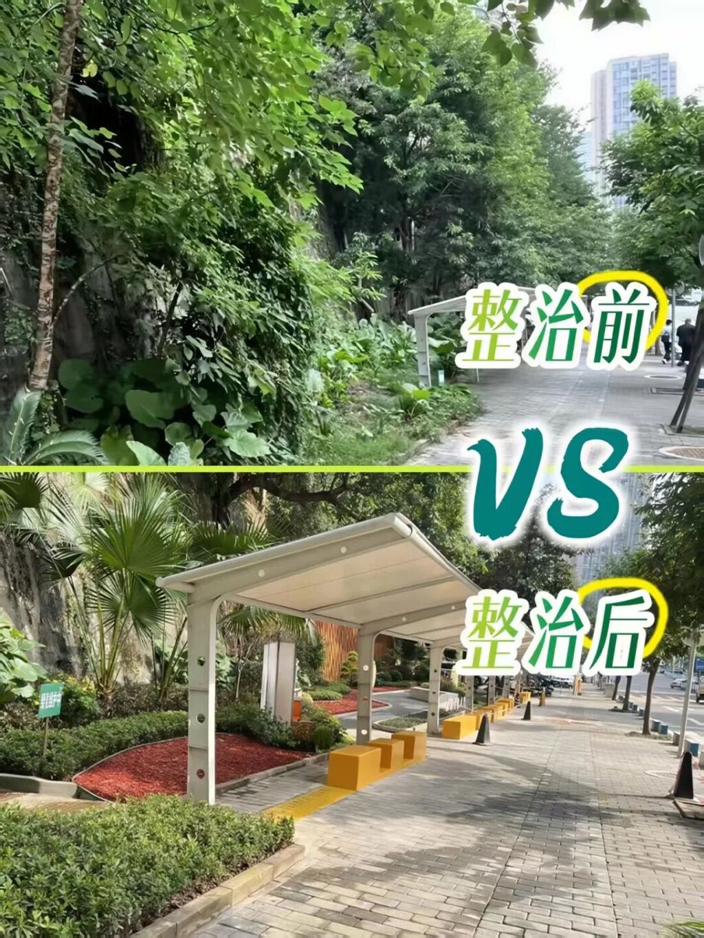江北区新村致远小学周边。市城管局供图