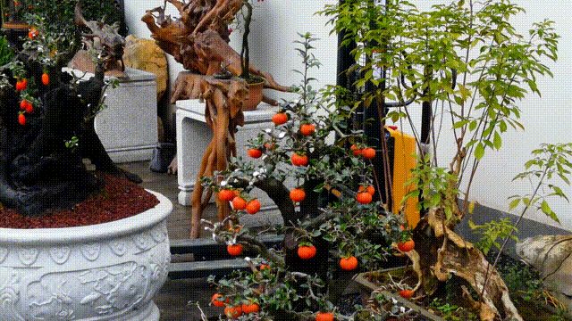 a49a30e139262f2d12d55bb128cfa045