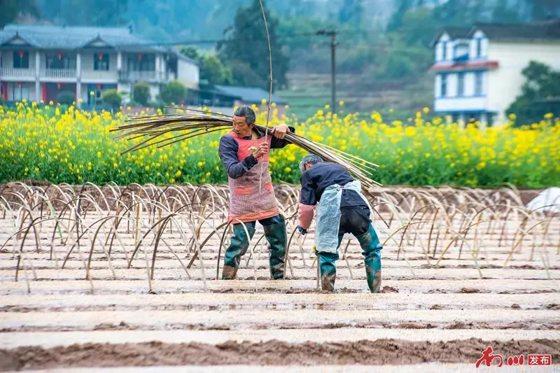 DSC_3503 拷贝_副本.jpg